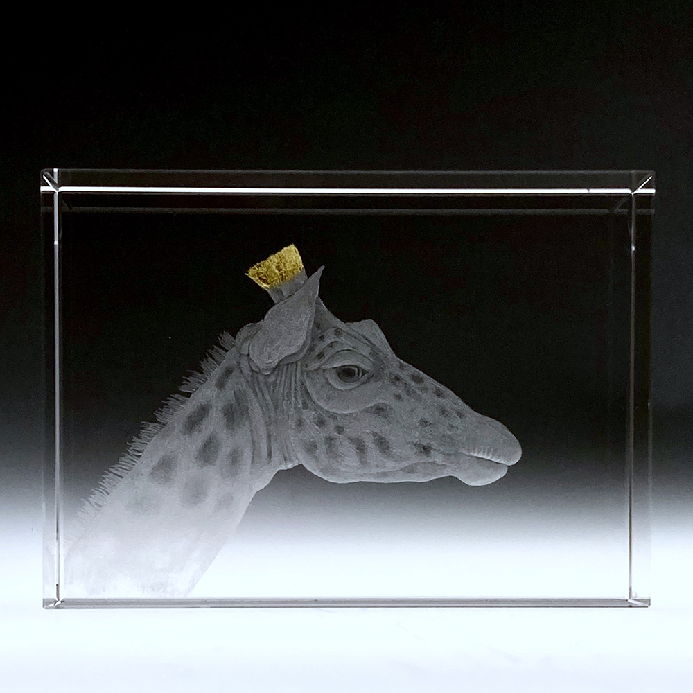 Giraffe Giraffe